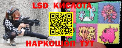 a pvp Славгород