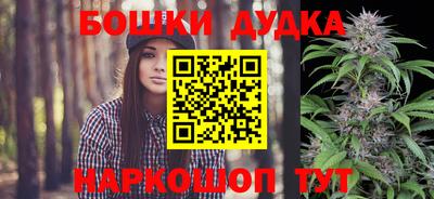 a pvp Славгород