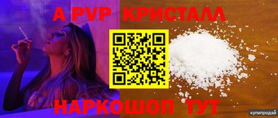 a pvp Славгород