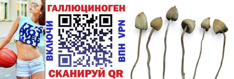Псилоцибиновые грибы Cubensis  Сатка 