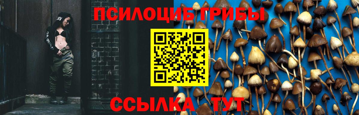 Псилоцибиновые грибы ЛСД Сатка