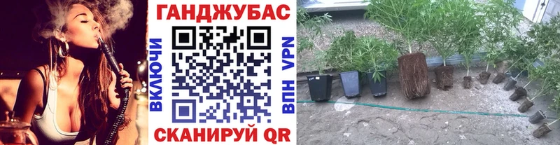 Бошки Шишки OG Kush  MEGA рабочий сайт  Сатка  цены  